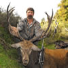 Steve Crutchfield (Wild & free red stag)
